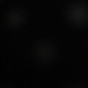 Meet your Posher, Shelly